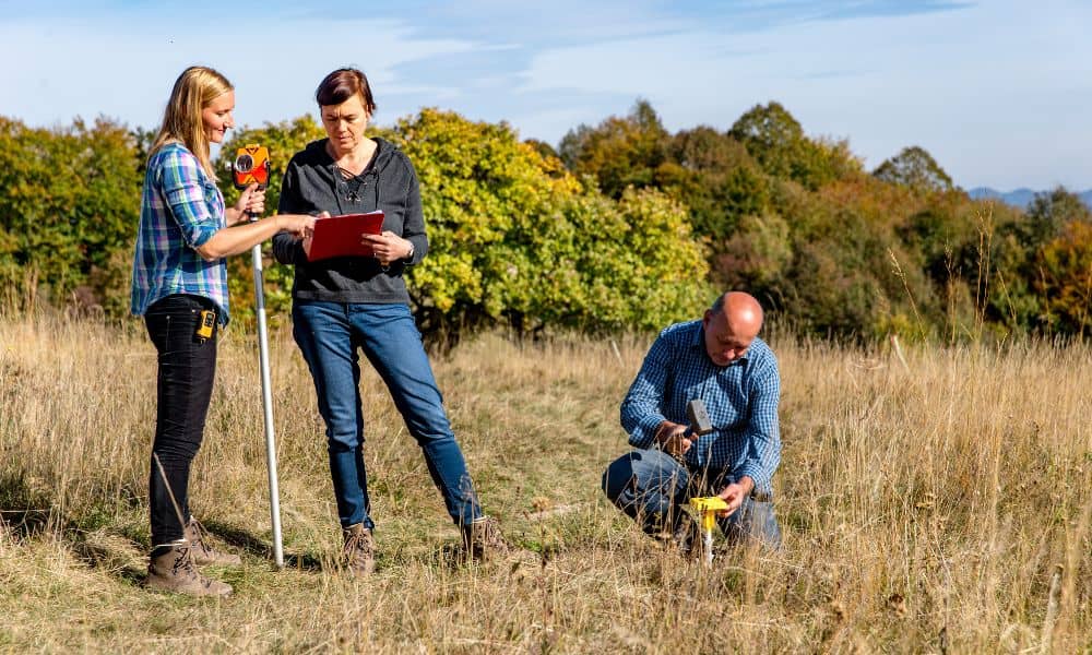 Licensed land surveyors performing a boundary line survey to mark residential property boundaries