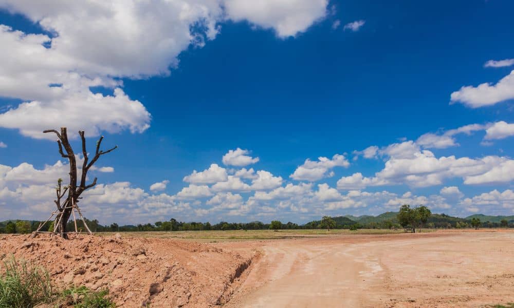 Open vacant land that appears flat and buildable but may have hidden risks revealed by a property survey